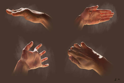 Hands study