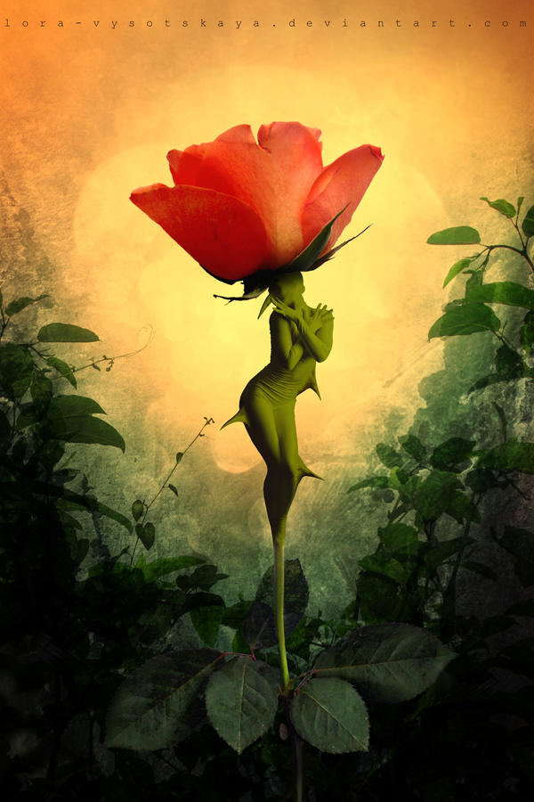 Rose's Soul