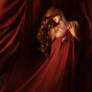 Le Rouge Et Le Noir
