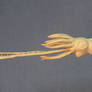 Colossal squid (Mesonychoteuthis hamiltoni) model