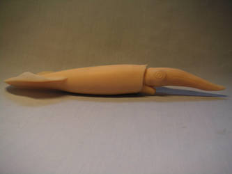 Belemnite model reconstruction, lateral view