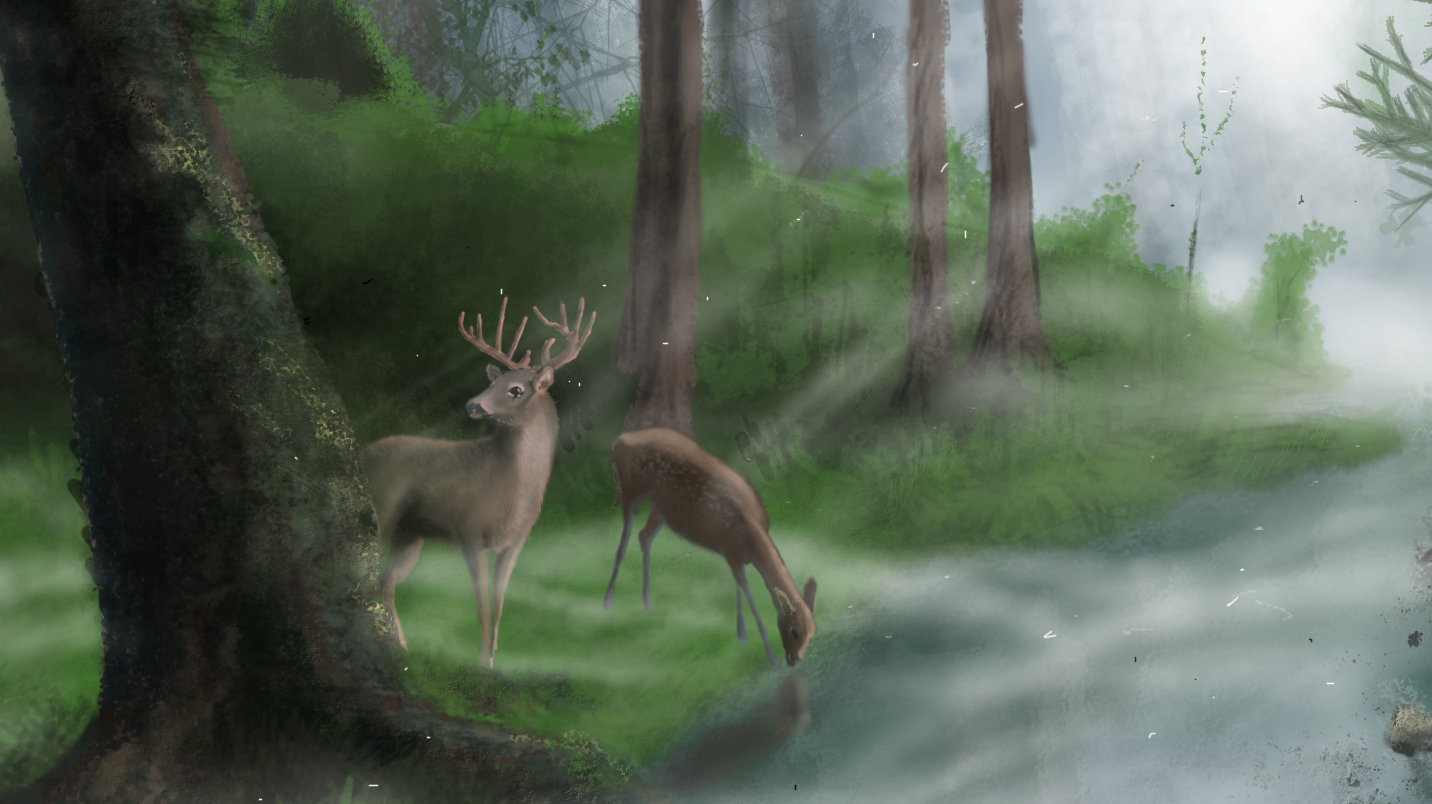 deer