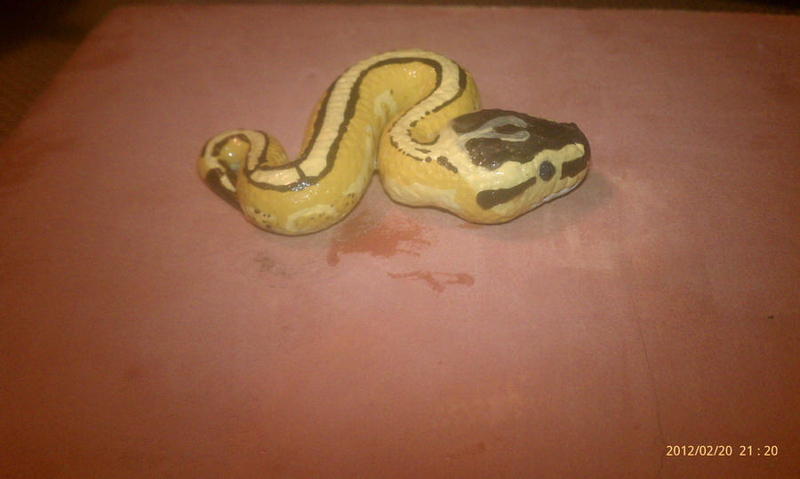 Super Stripe ball python by milkshake8882 on DeviantArt