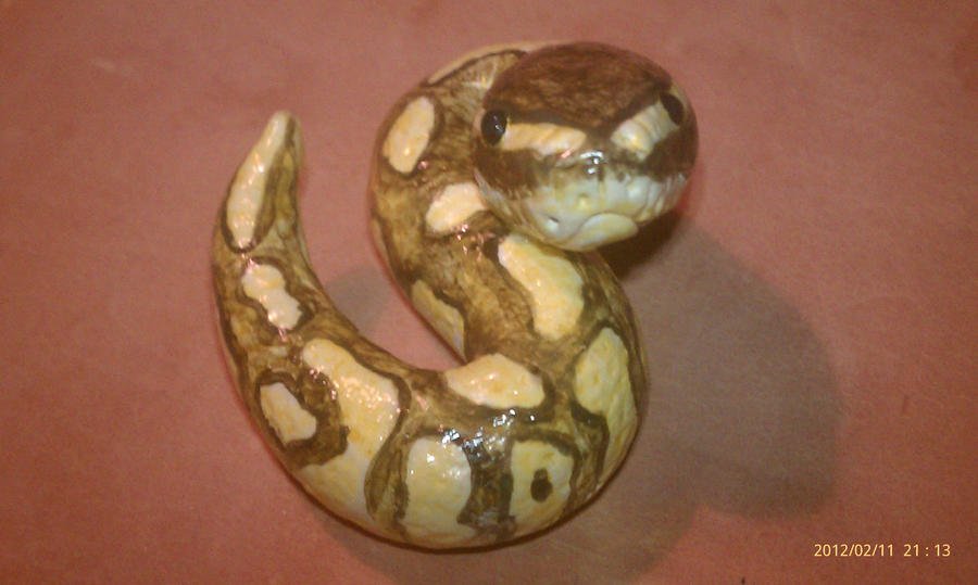 Lesser Ball Python by milkshake8882 on DeviantArt