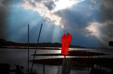 Glove, Sky and the Sea