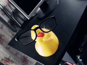 Mr. Rubber Ducky