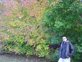 Stephan in Autumn