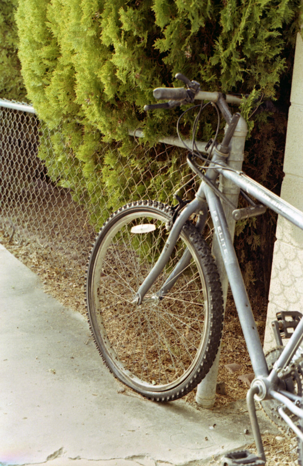 Golden Bike