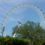 The London Eye- June 2010