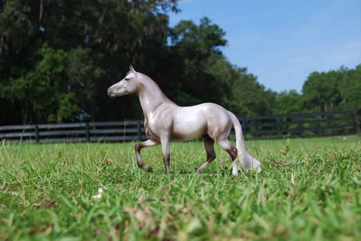 New Breyer #2