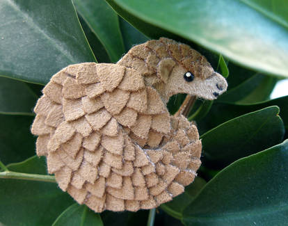 Pangolin fridge magnet