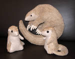 Plush - Pangolin family photo