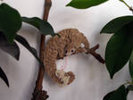 Pangolin Fridge Magnet - Sleep tight little one by demiveemon