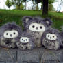Fuzzy owls group picture