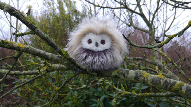 Small owl plush - Sold