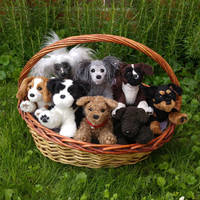 Basket full of puppies