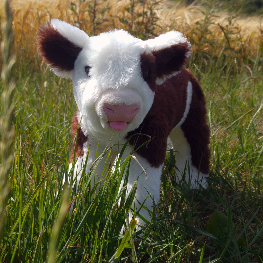 Hereford calf plush by demiveemon on DeviantArt