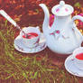 Harmony Tea time