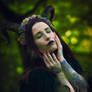 Forest Faun