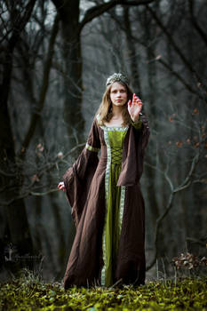 Elven Heart