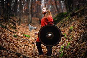 The forest saga III.