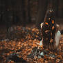 In the embrace of autumn