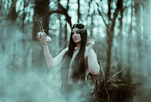 The woodland witch