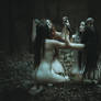 Forest Circle