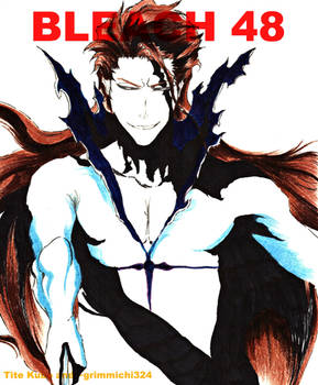 BLEACH 48