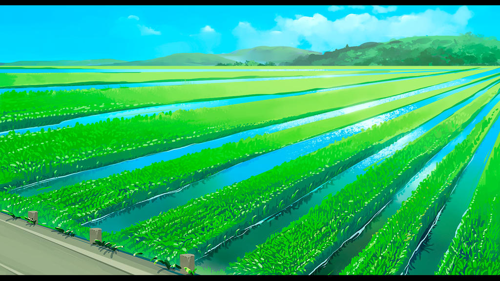 Ricefield animation background