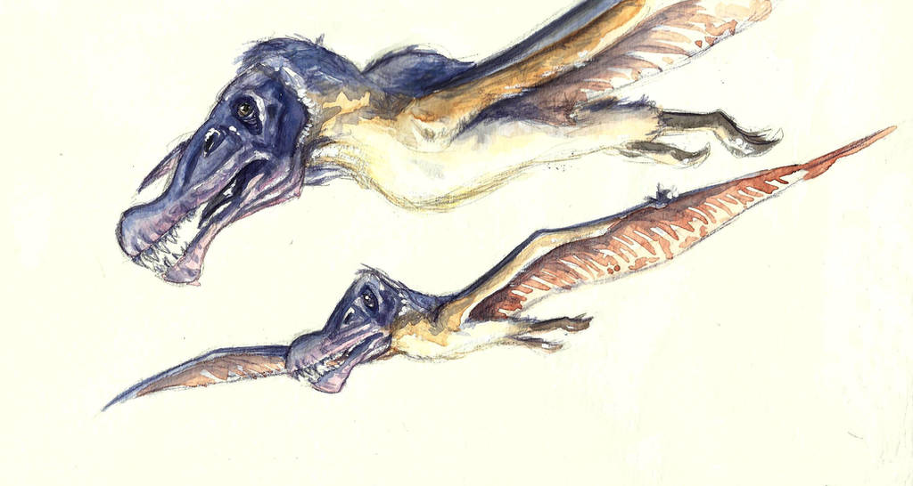 Ornithocheirus by KikaPaz