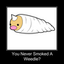 You Never Smoked A Weedle?