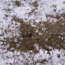 Frozen Ground Texture Thirteen