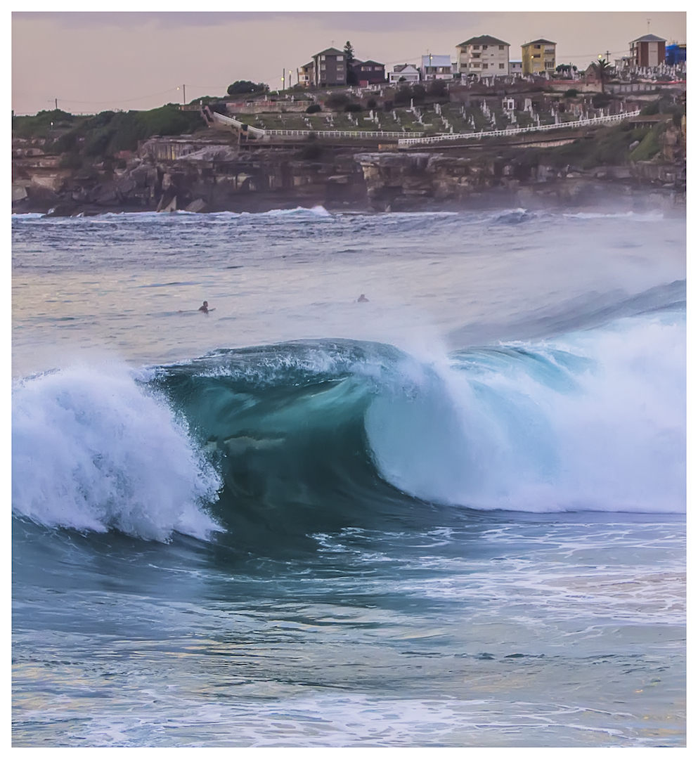 Surfing Tamarama8