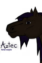 Aztec