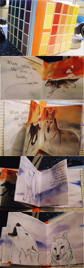 A little wolf book