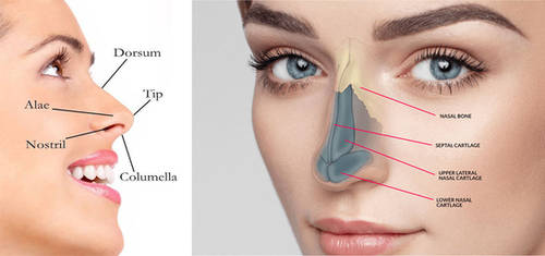 Rhinoplasty in Gurgaon | Best Rhinoplasty Surgeon