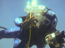 diving at hurghada