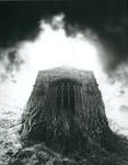 Hall of the Mountain King by EnigmagicStudios