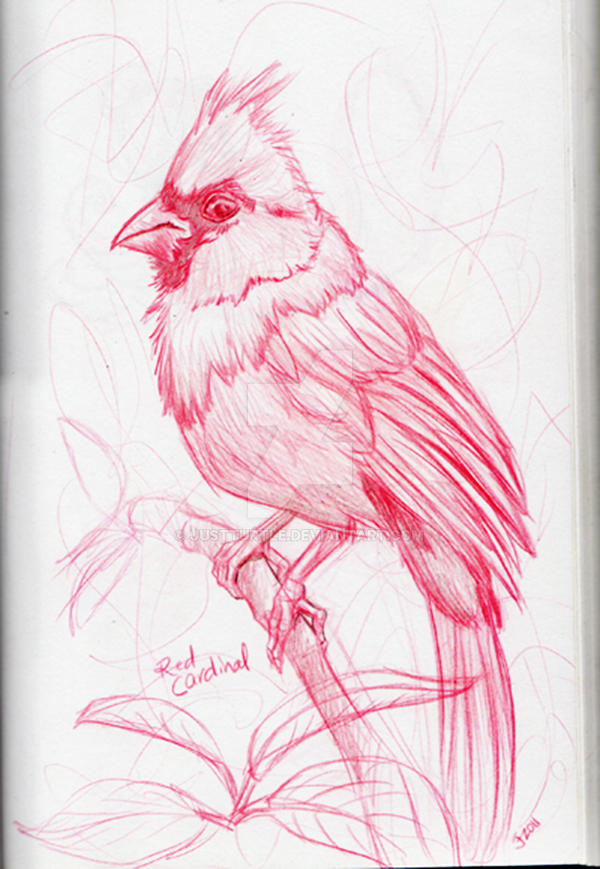 Redbird Jfsketch2012