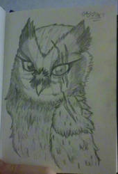 an owl idk