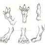 Dragon feet studies-Hind foot