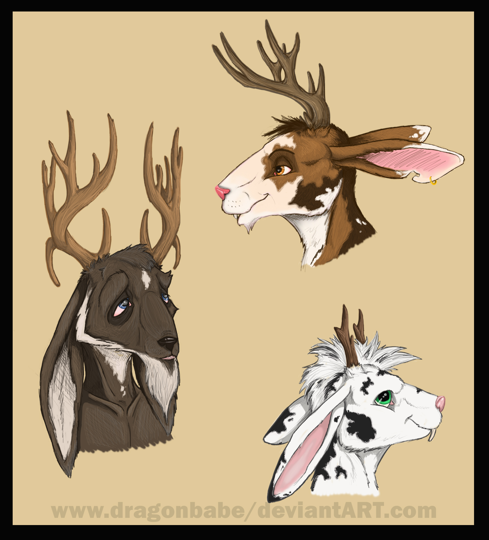 Jackalopes