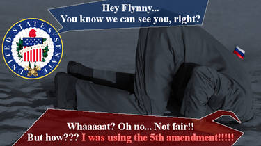 Flynny 5th amendment