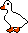 *Duck