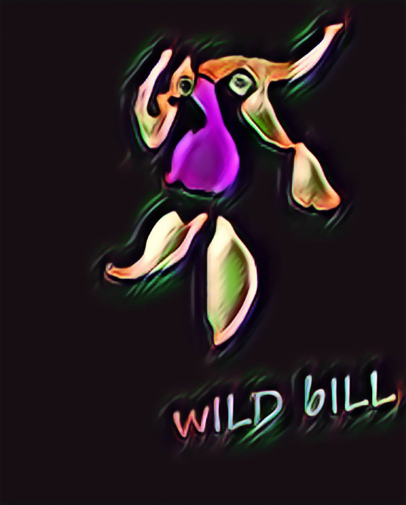 Wild Bill by OldmanT60 on DeviantArt