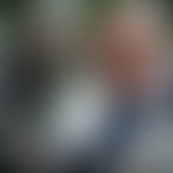 Tesla Bot which is which