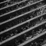 Cattle Grid