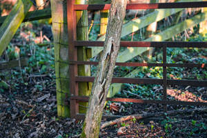 OMT60.2026.01.11.18.36