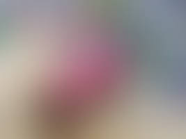 Img 20260131 125100758